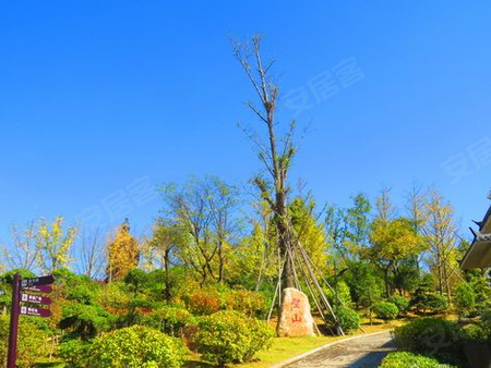 隨州世紀(jì)花園最新動態(tài)