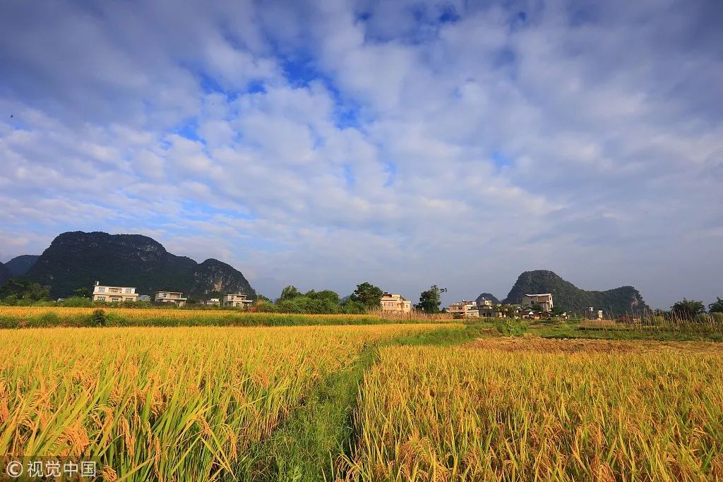 井岡山旅游上市最新動態(tài)，發(fā)展機遇與挑戰(zhàn)并存